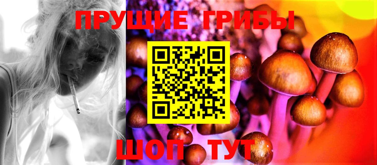 Галлюциногенные грибы Magic Shrooms Александров