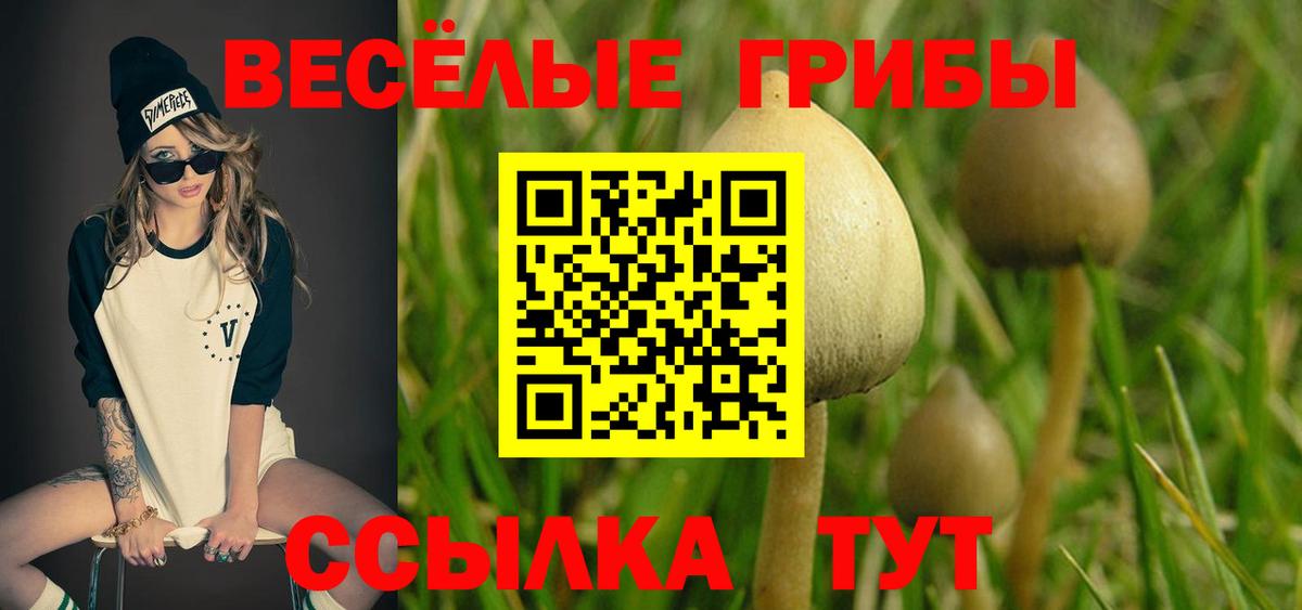 Галлюциногенные грибы MAGIC MUSHROOMS  Вход с VPN  Александров 