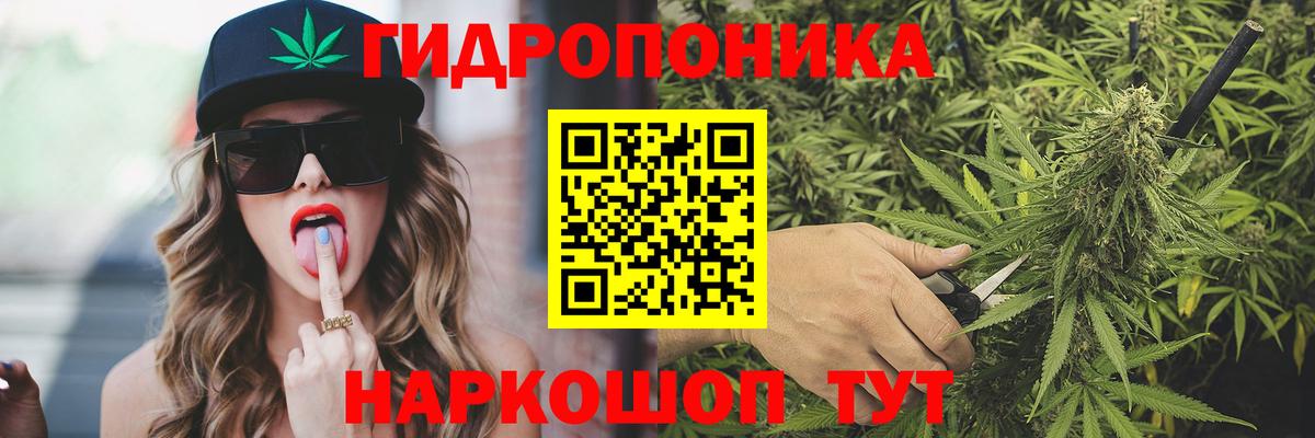 Канабис гибрид  Вход с VPN  Шишки марихуана Amnesia  Марихуана Bruce Banner  Александров 